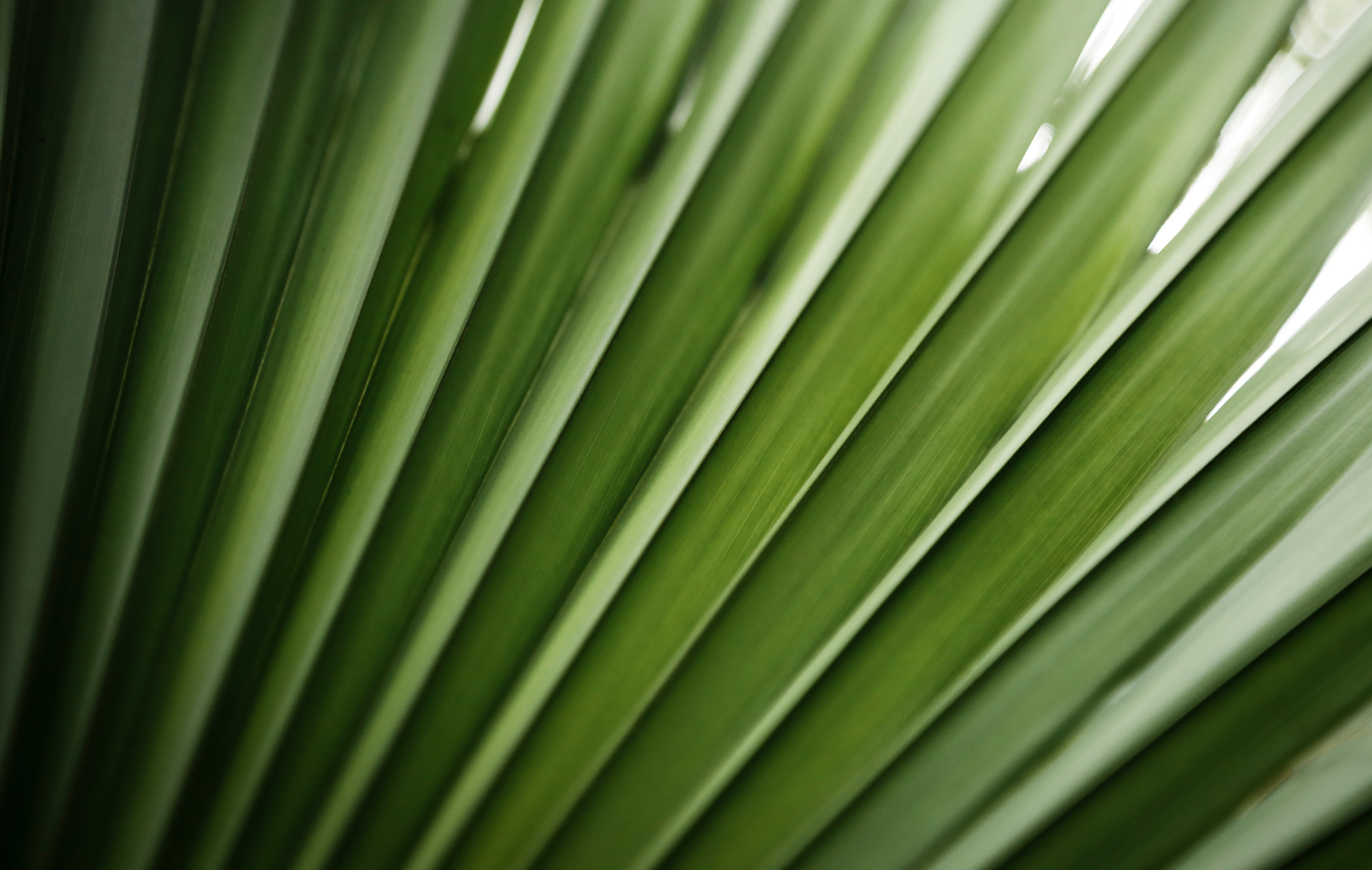 Footer visual