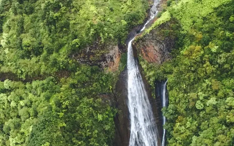 A waterfall dropping through green rainforest on Maui