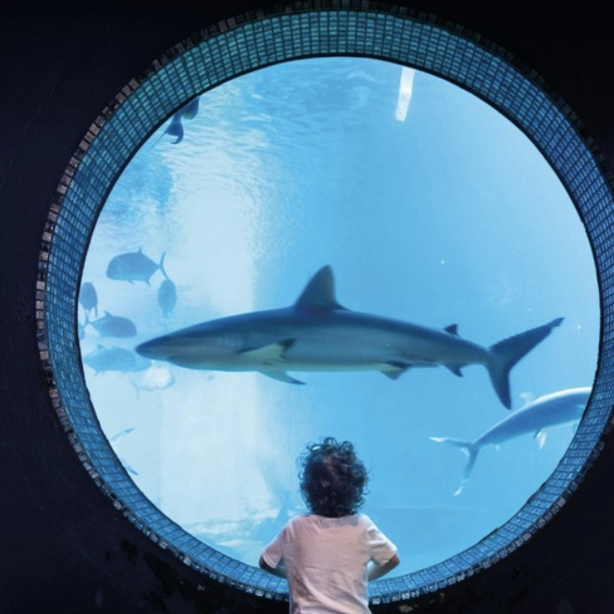 Maui Ocean Center