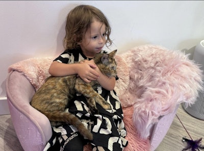 Cat Cafe