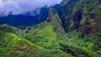 Central Maui