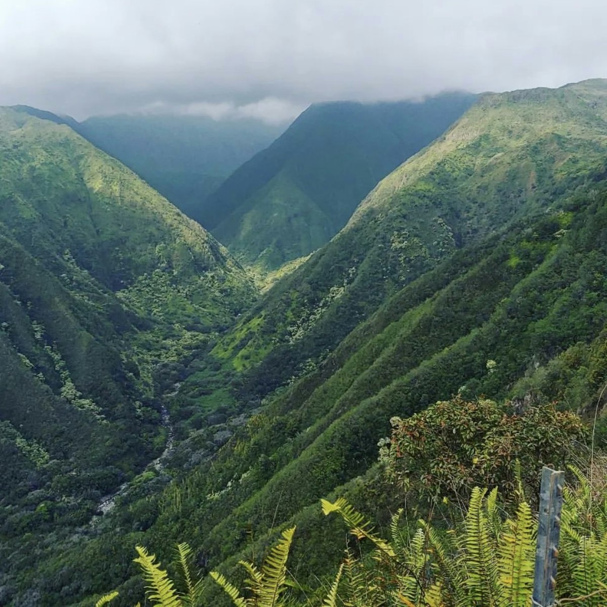 Waihe'e Ridge Trail