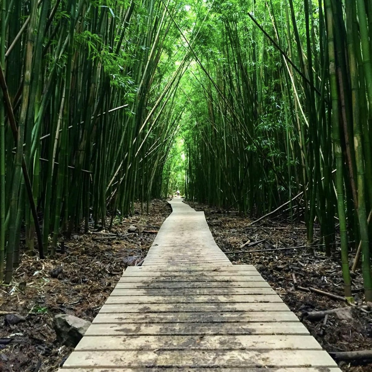 Pipiwai Trail