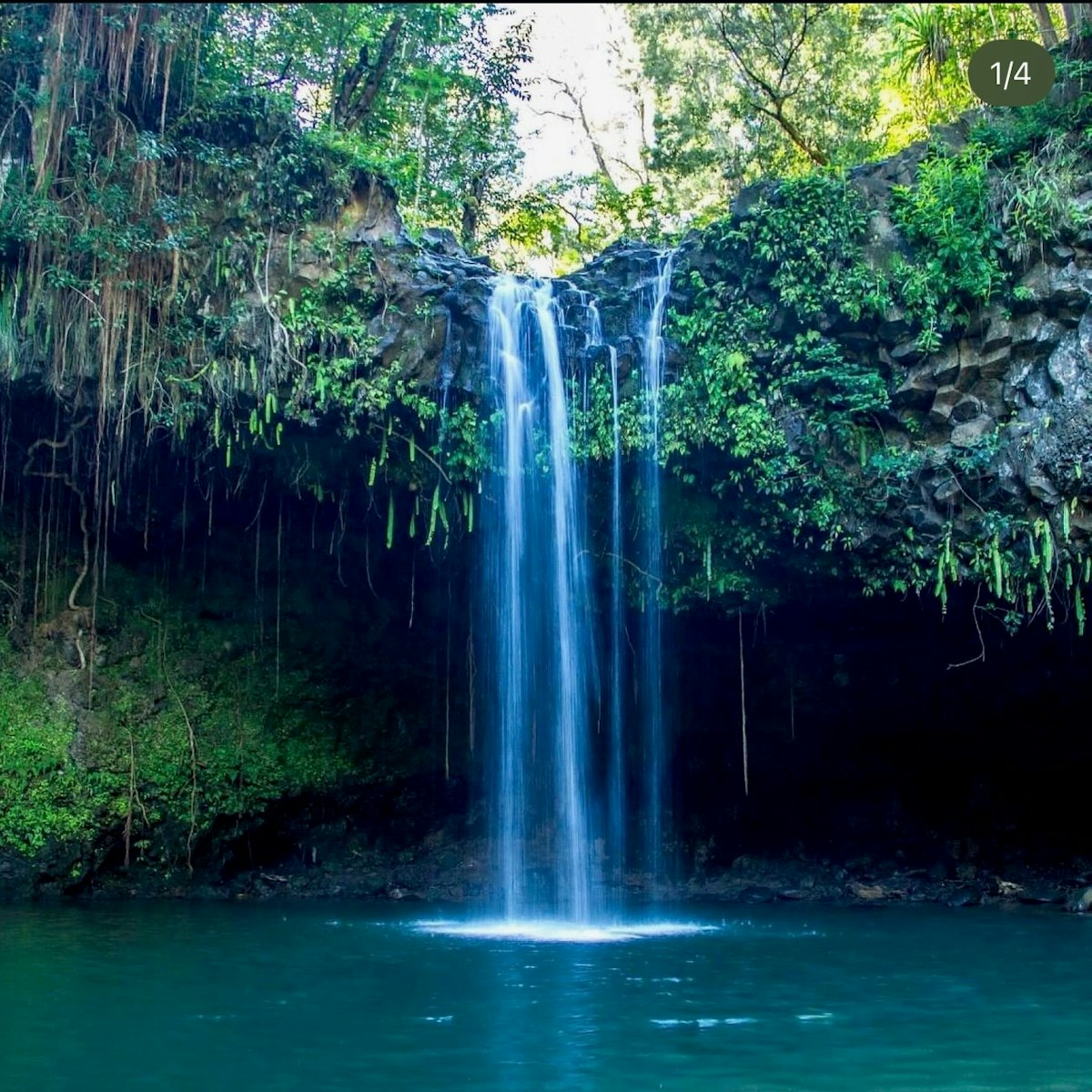 Twin Falls