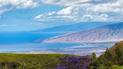 Upcountry Maui