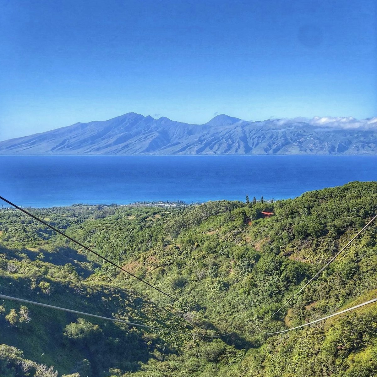 Kapalua Zipline