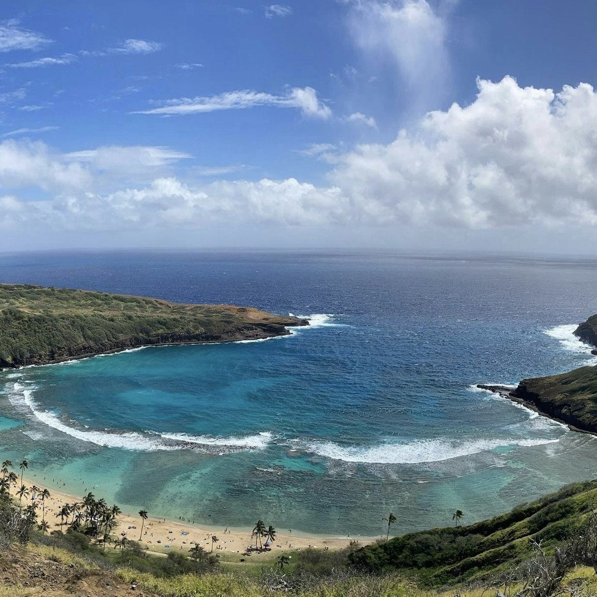 Honolua Bay