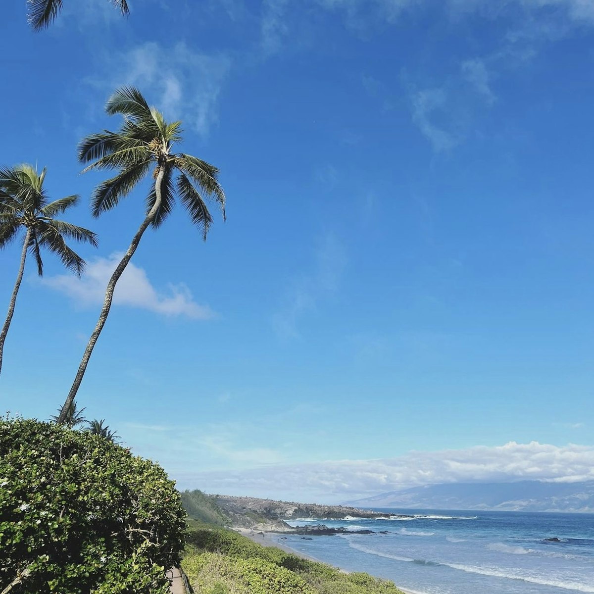 Ironwoods Beach